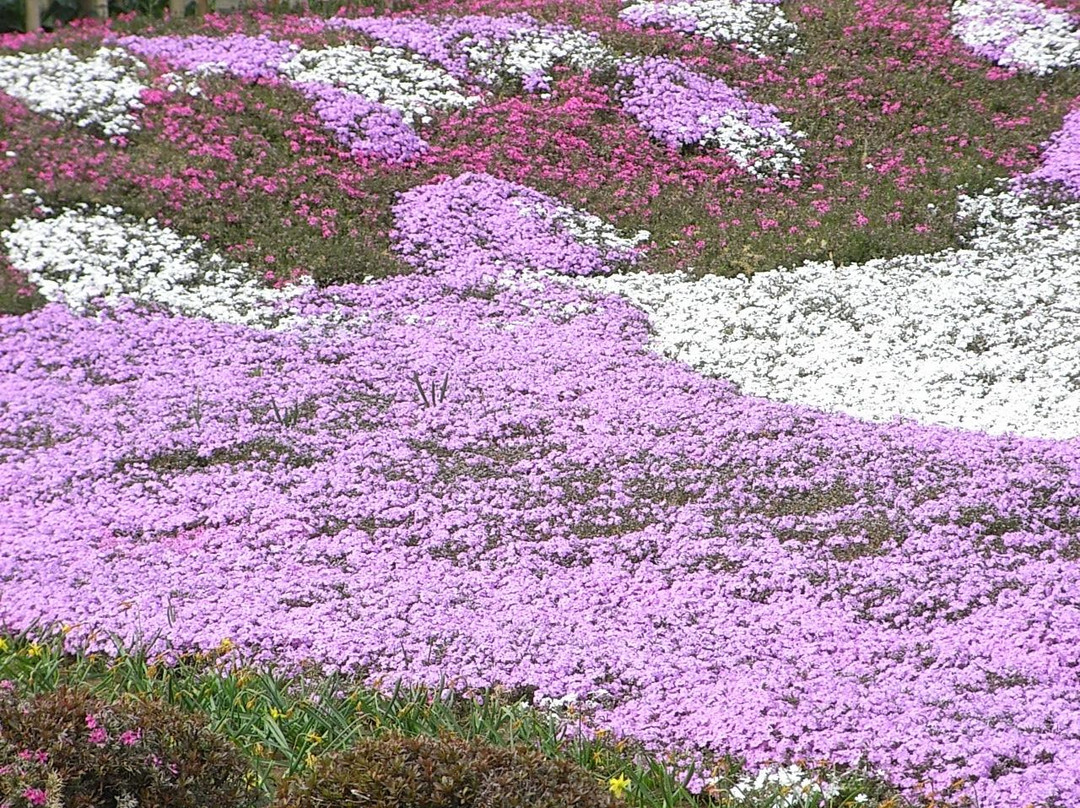 Kakumatsujyaku Memorial Museum