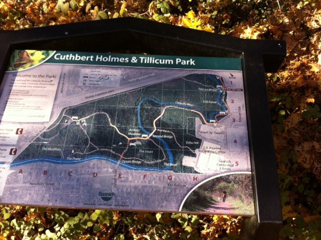 Cuthbert Holmes Park景点图片