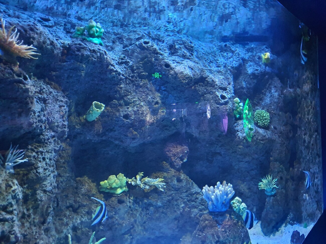 富国海底世界景点图片
