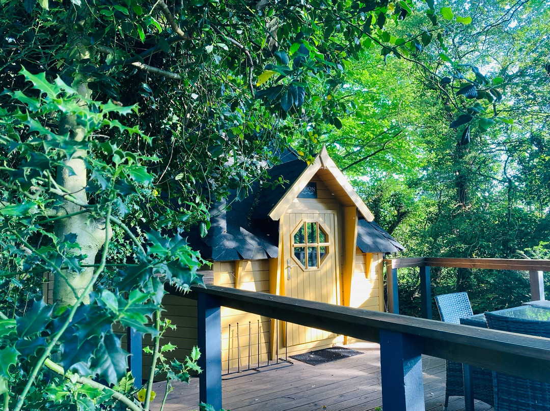 Stewton Stars Hideaway