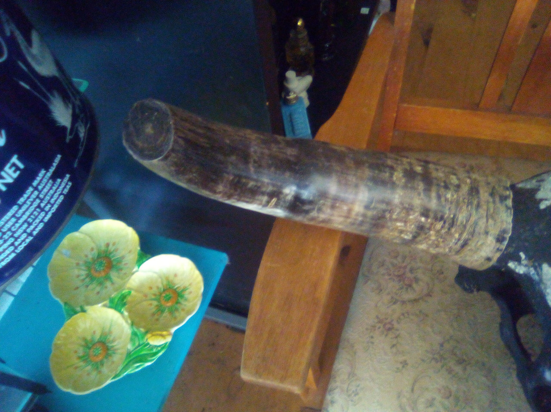 Collectables & Memories-Mount Morgan必去景点