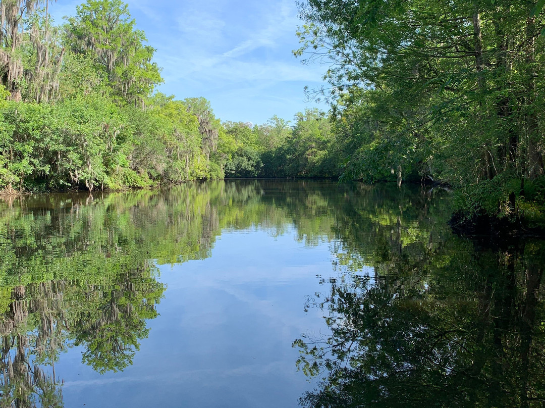 Seminole Wind Airboat tour-阿卡迪亚必去景点
