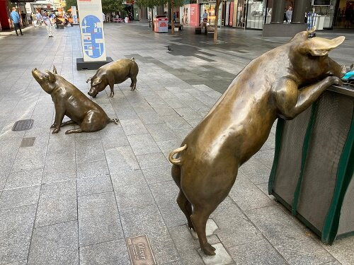 The Rundle Mall Pigs-阿德莱德必去景点