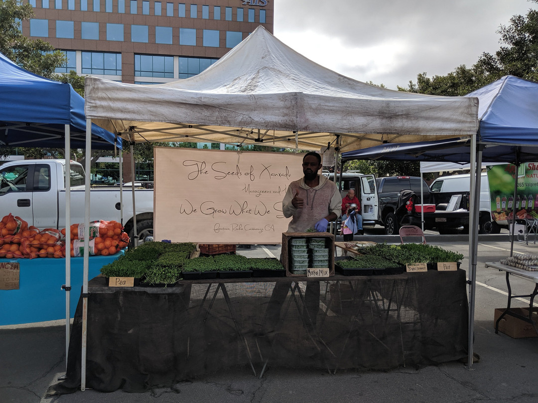 Cerritos Farmers Market-喜瑞都必去景点
