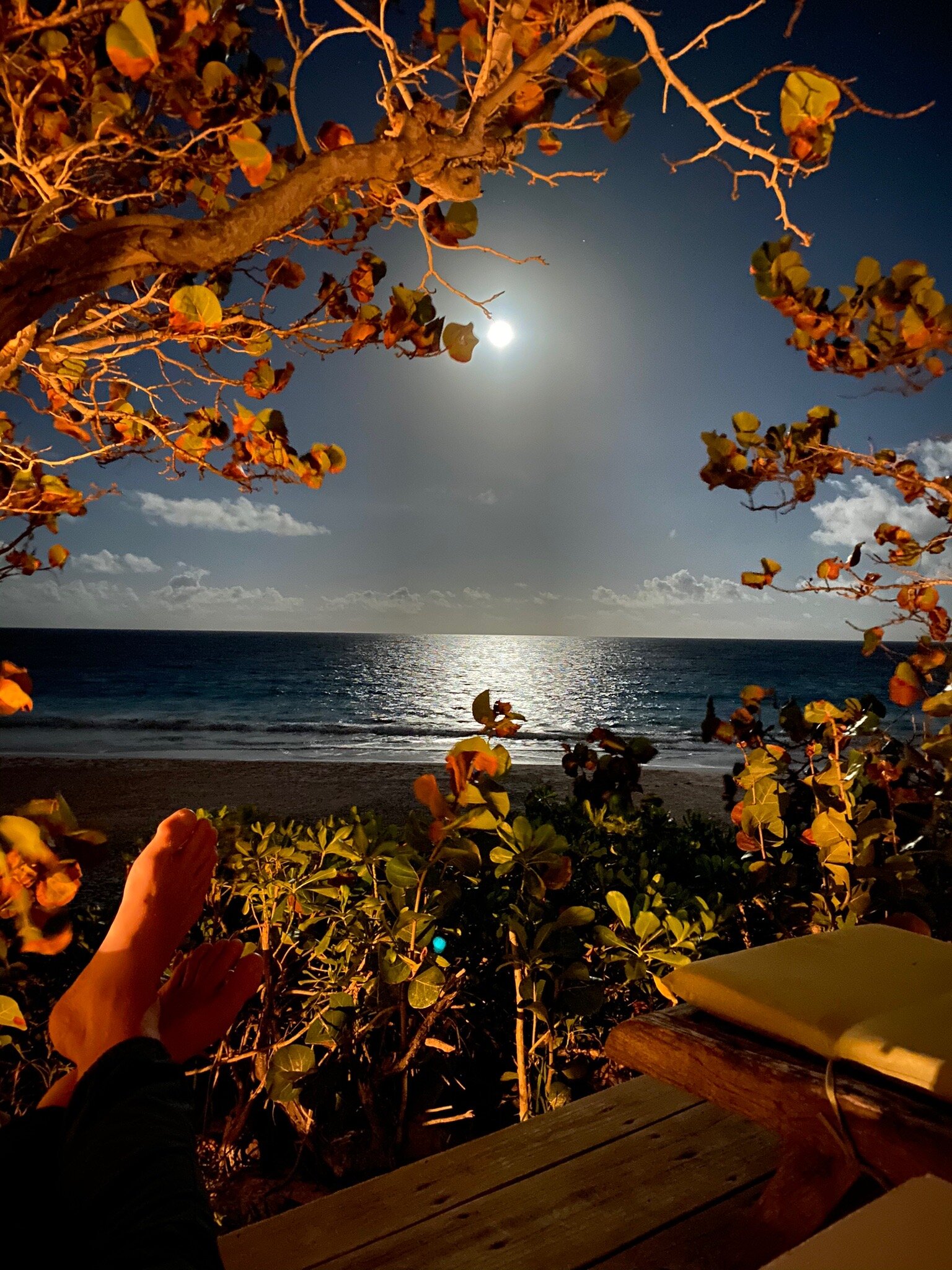 Ocean View Club-官方