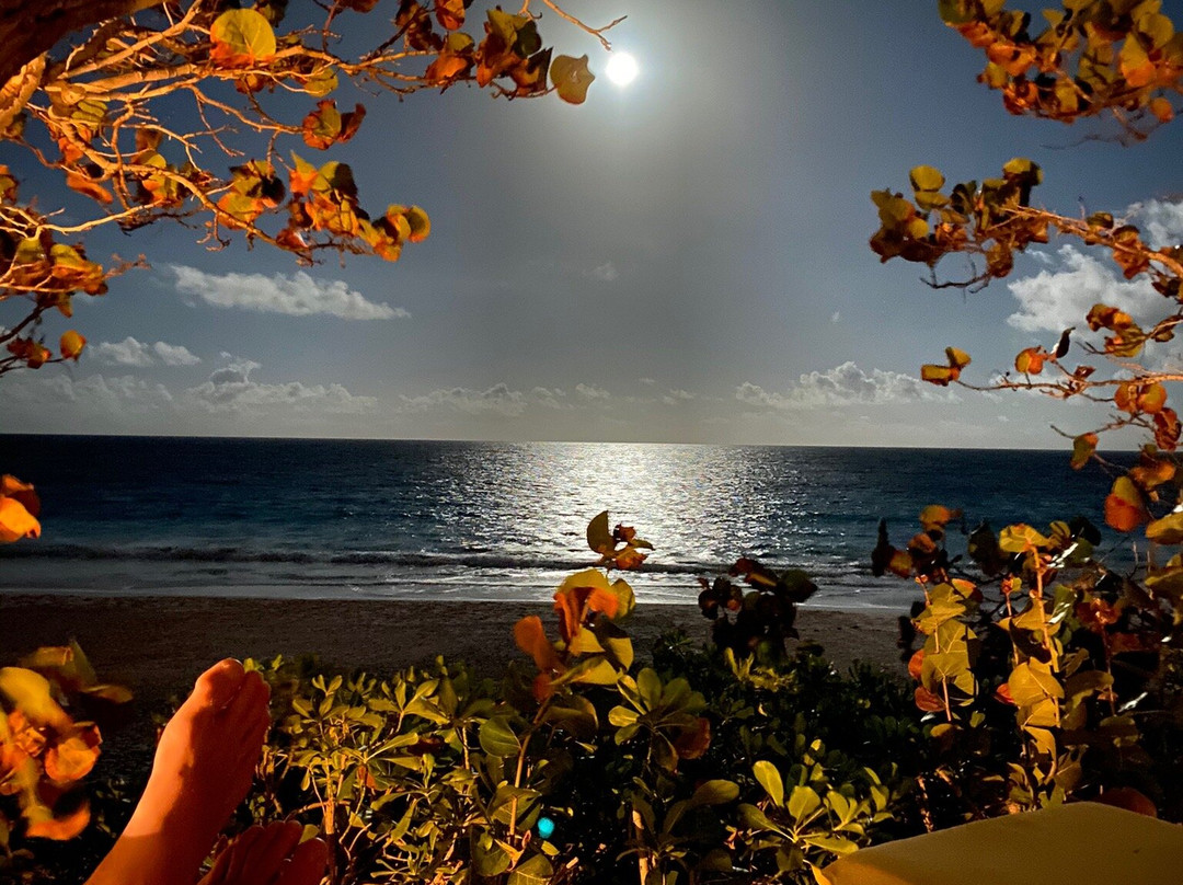 Ocean View Club主图