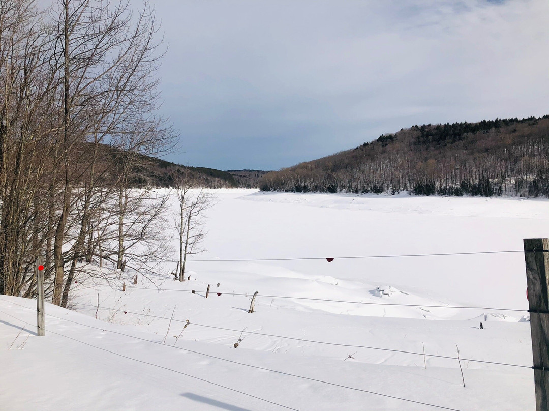 Snowmobile Vermont-Woodford必去景点