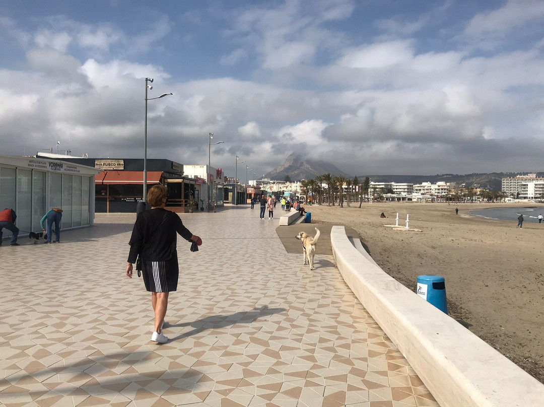 Arenal Promenade景点图片