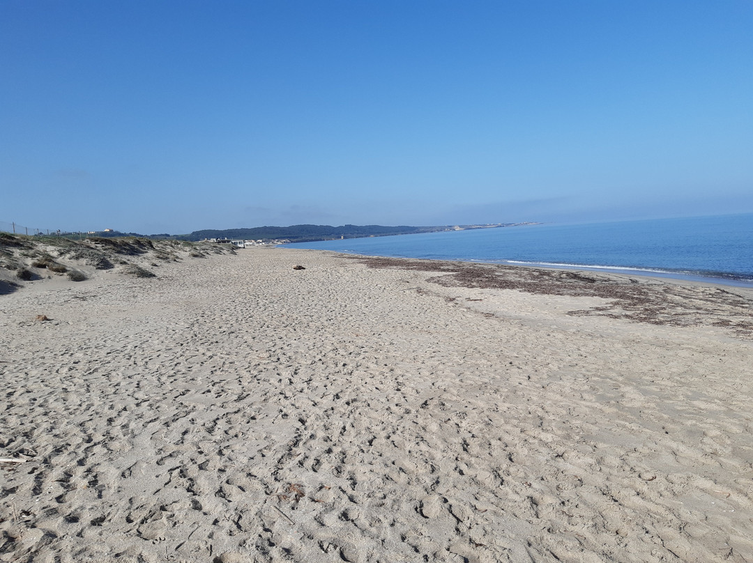 Spiaggia di Platamona-Platamona必去景点
