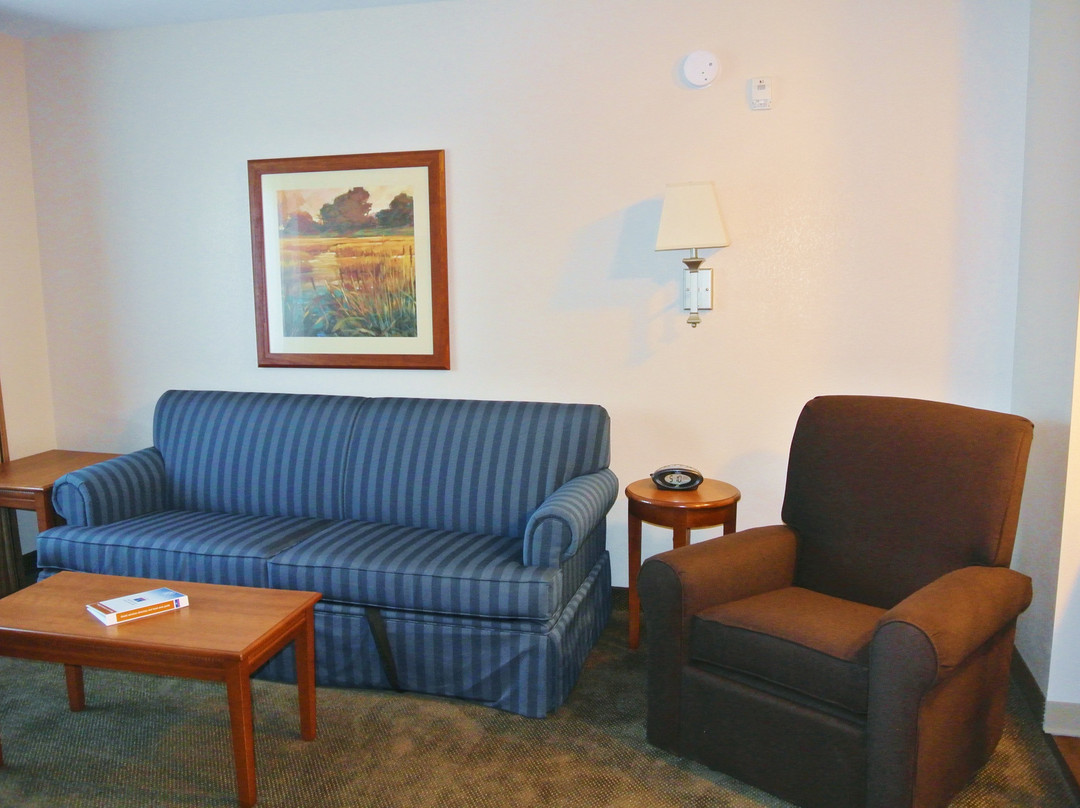 TownePlace Suites by Marriott Birmingham South主图