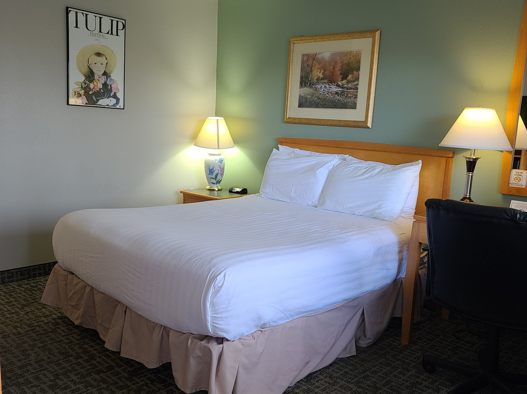 Tulip Inn Mt. Vernon主图