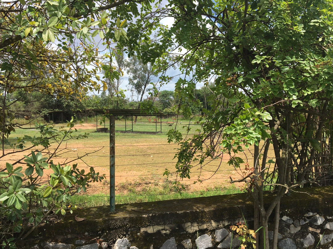 Lubumbashi Zoo景点图片