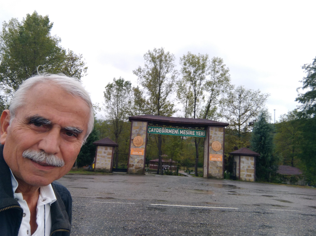 Çaydeğirmeni Mesire Alanı景点图片
