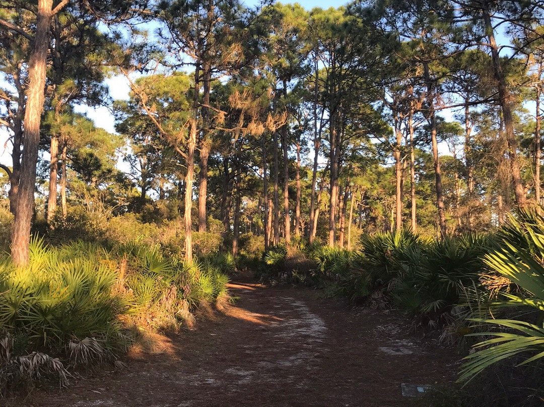 Oyster Creek Environmental Park-恩格尔伍德必去景点
