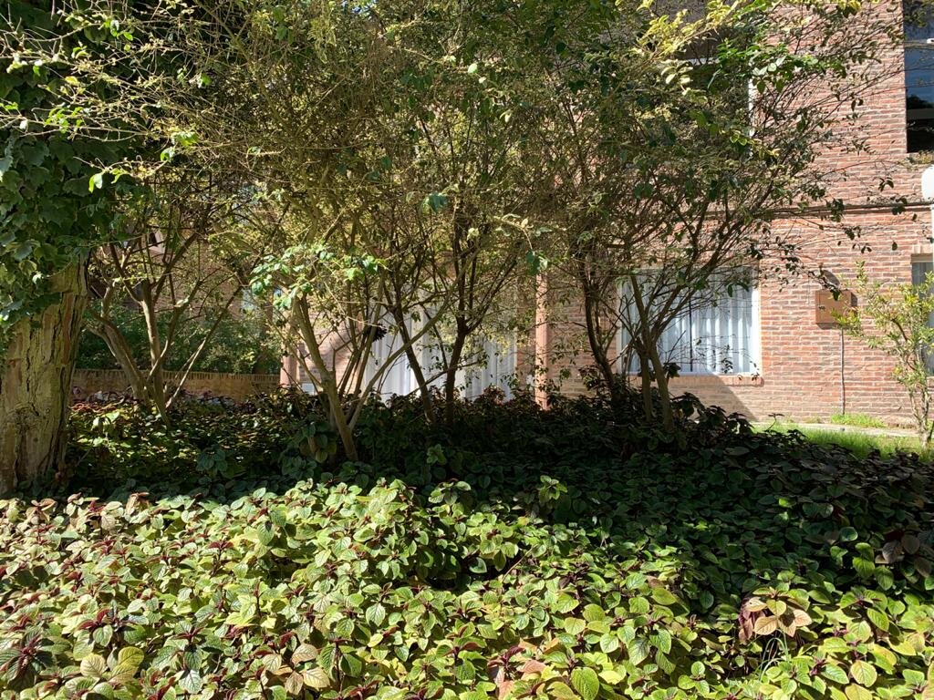 Carilo Village Apart Hotel & Spa-浴室