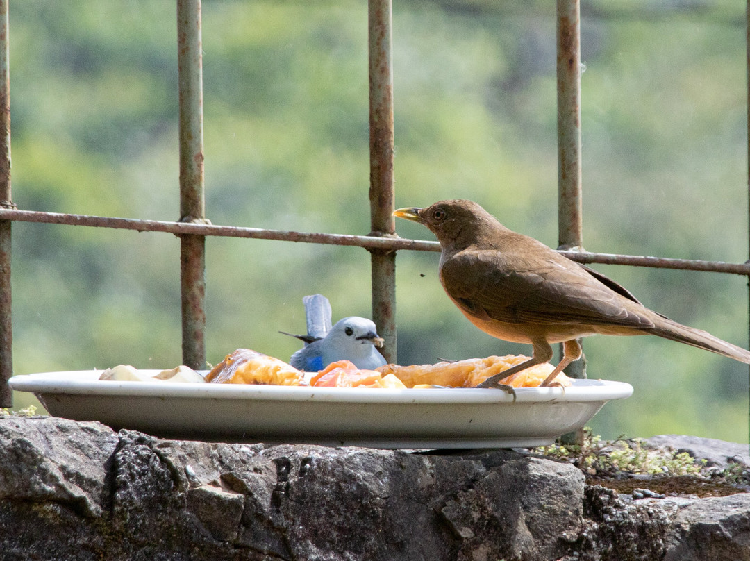 Casa Amanecer Bed & Breakfast主图