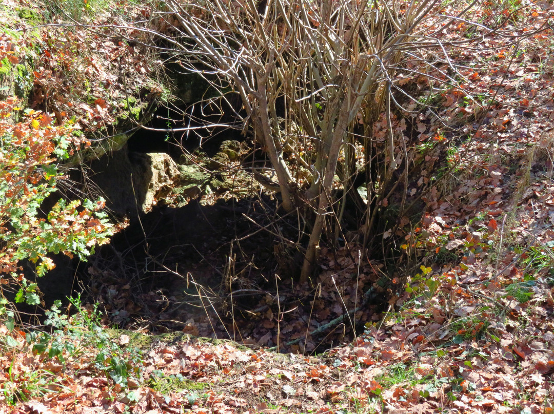 Zona Archeologica di Palazzolo-Vasanello必去景点