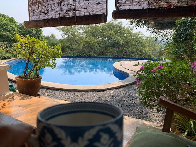 Capella Forest Retreat & Homestay主图