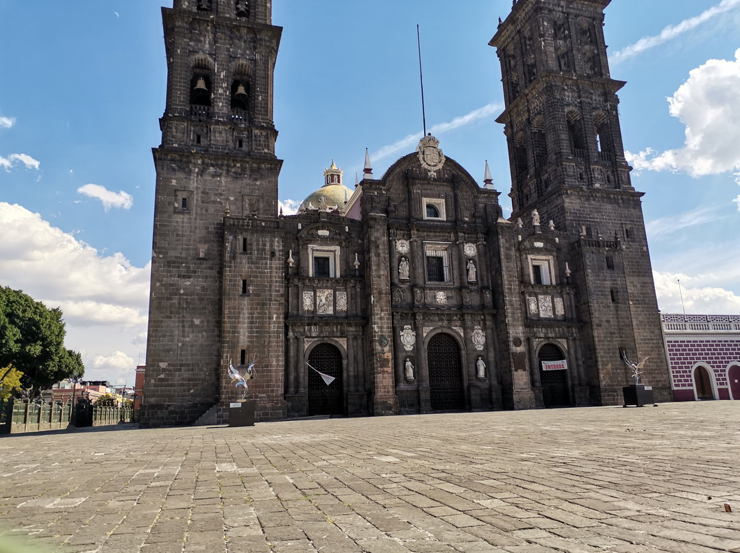 Excellence Mexico Tours-墨西哥城必去景点