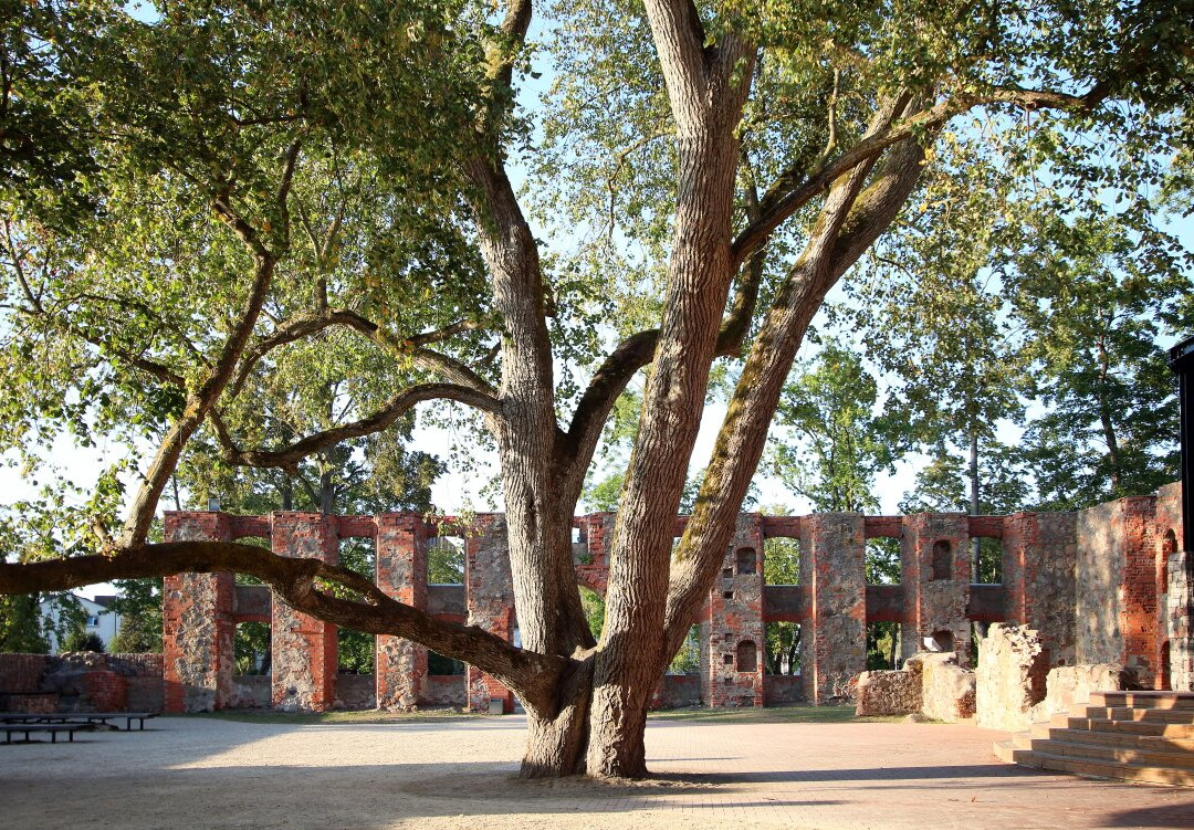 Grobina Castle-Grobina必去景点