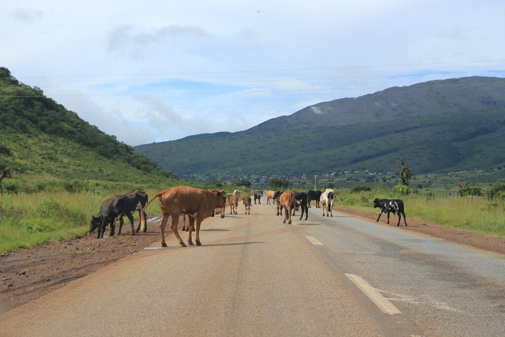 Abel Erasmus Pass-奥瑞斯塔必去景点