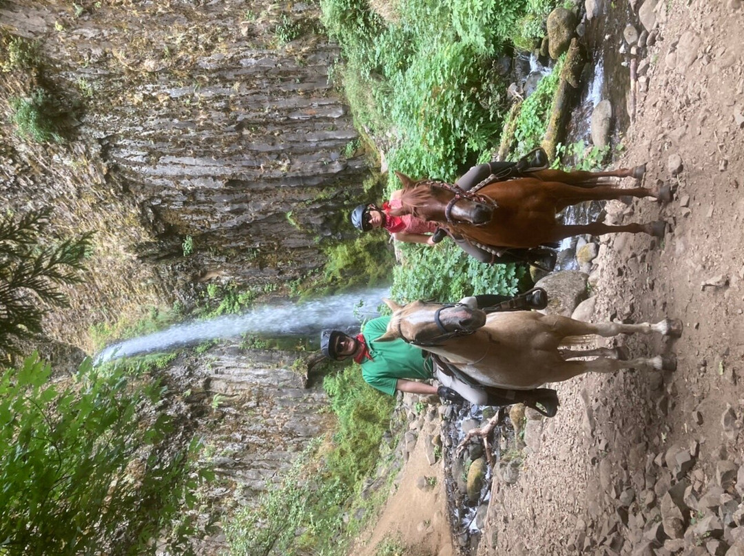 Double Mountain Ranch-胡德里弗必去景点