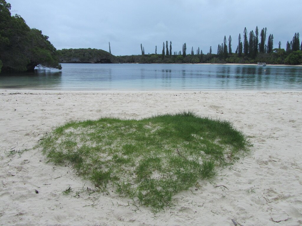 Oure Lodge Beach Resort主图