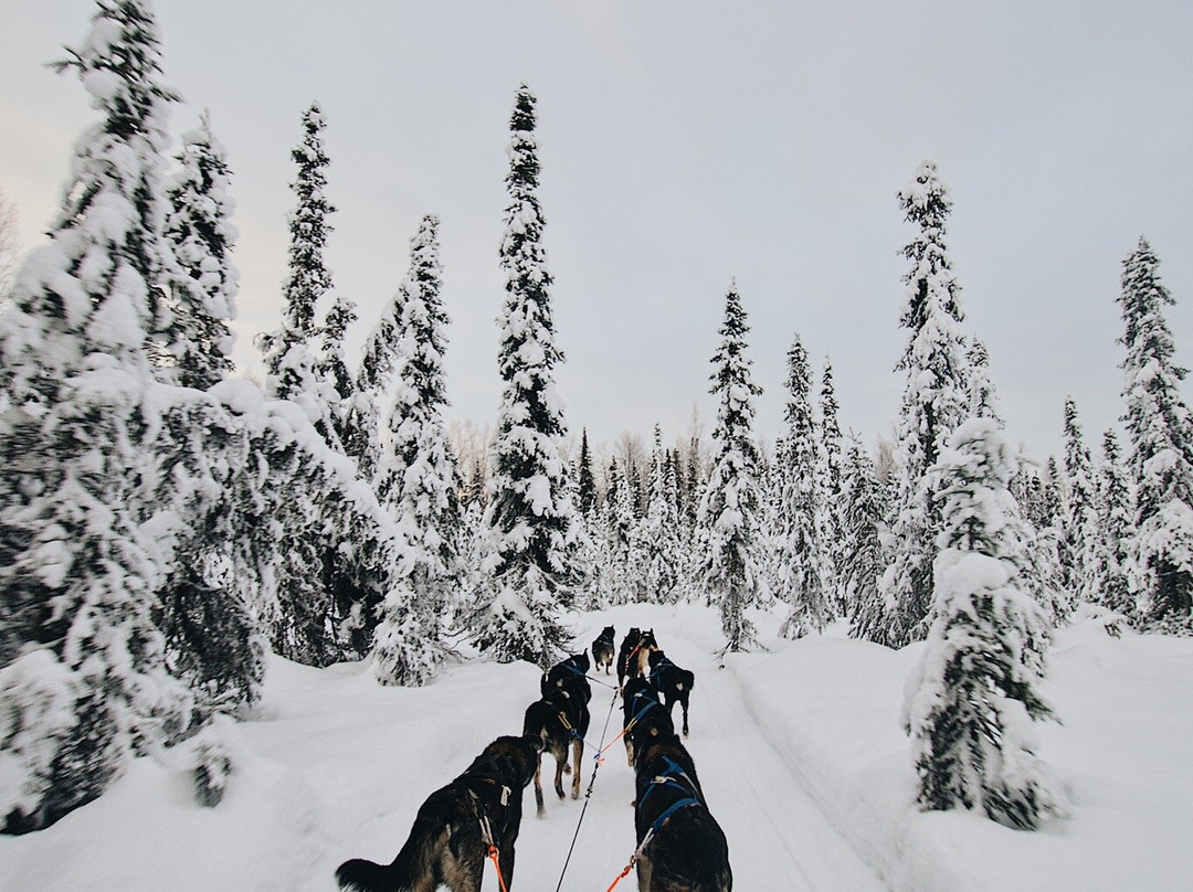Snowhook Adventure Guides of Alaska景点图片