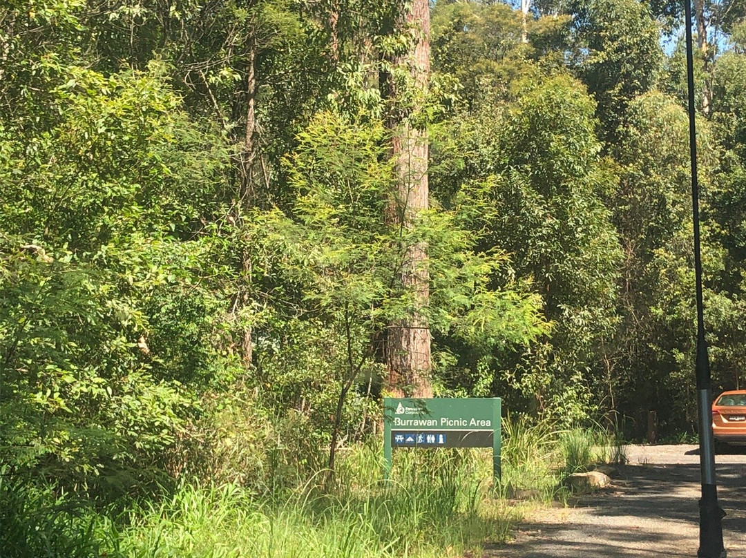 Old Bottlebutt-Wauchope必去景点