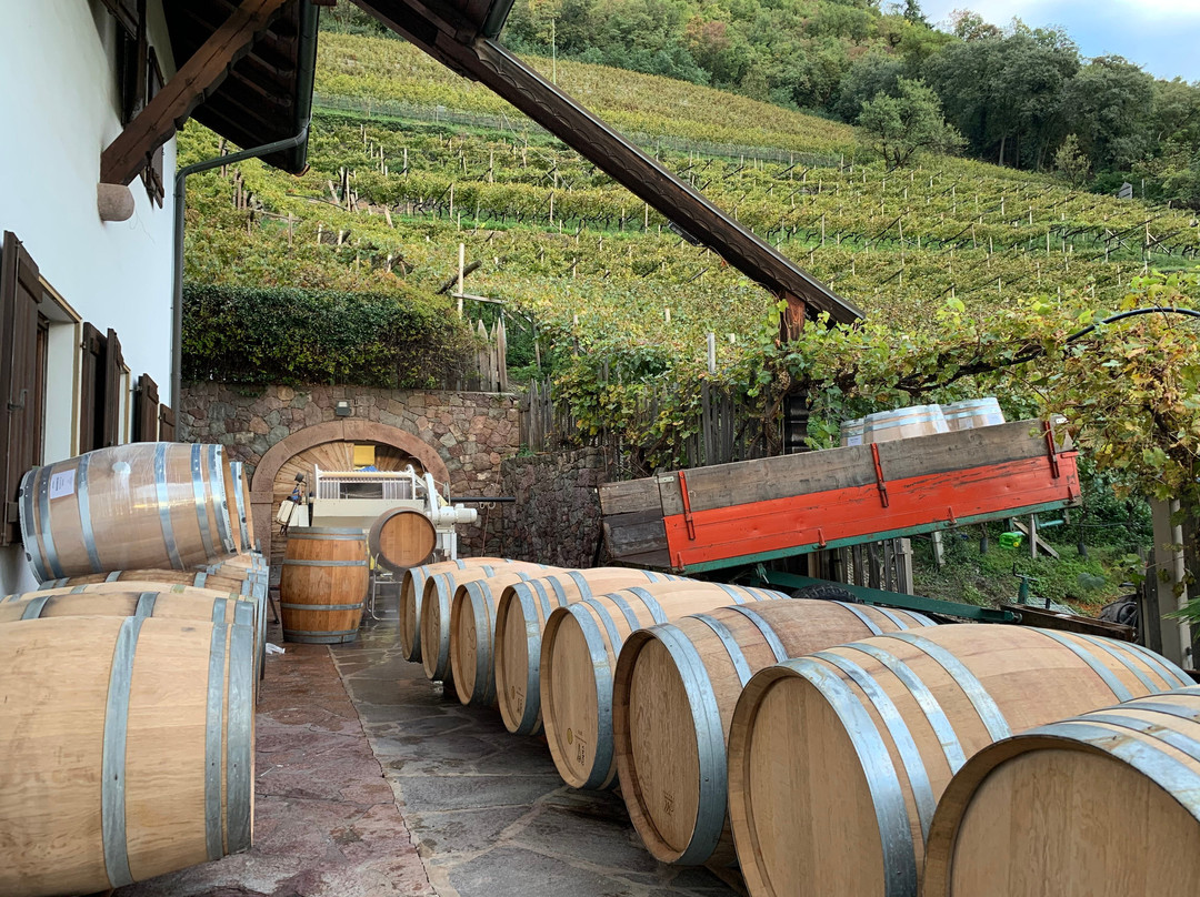 Kellerei Cantina Heiner.-博尔扎诺必去景点