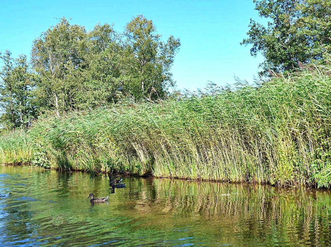 Nationaal Park Weerribben-Wieden-Sint Jansklooster必去景点