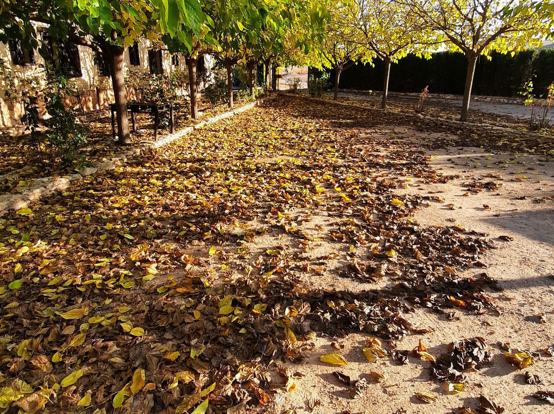 Hotel Enoturismo Mainetes主图