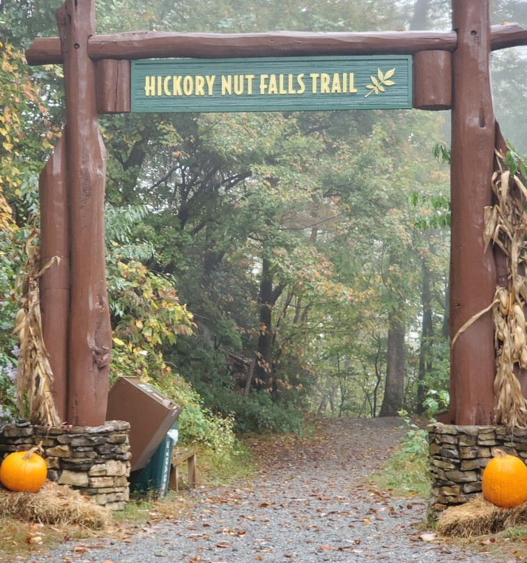 Hickory Nut Falls Trail景点图片