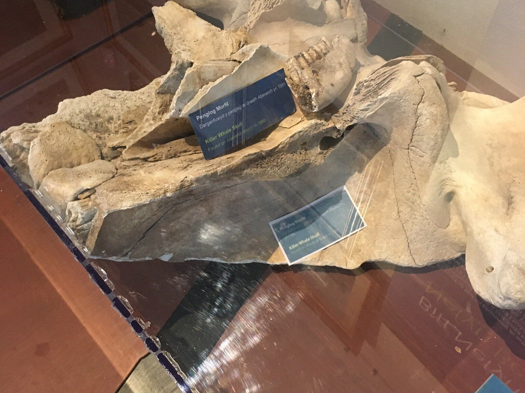 Amgueddfa Forwrol Llŷn  /  Llŷn Maritime Museum景点图片