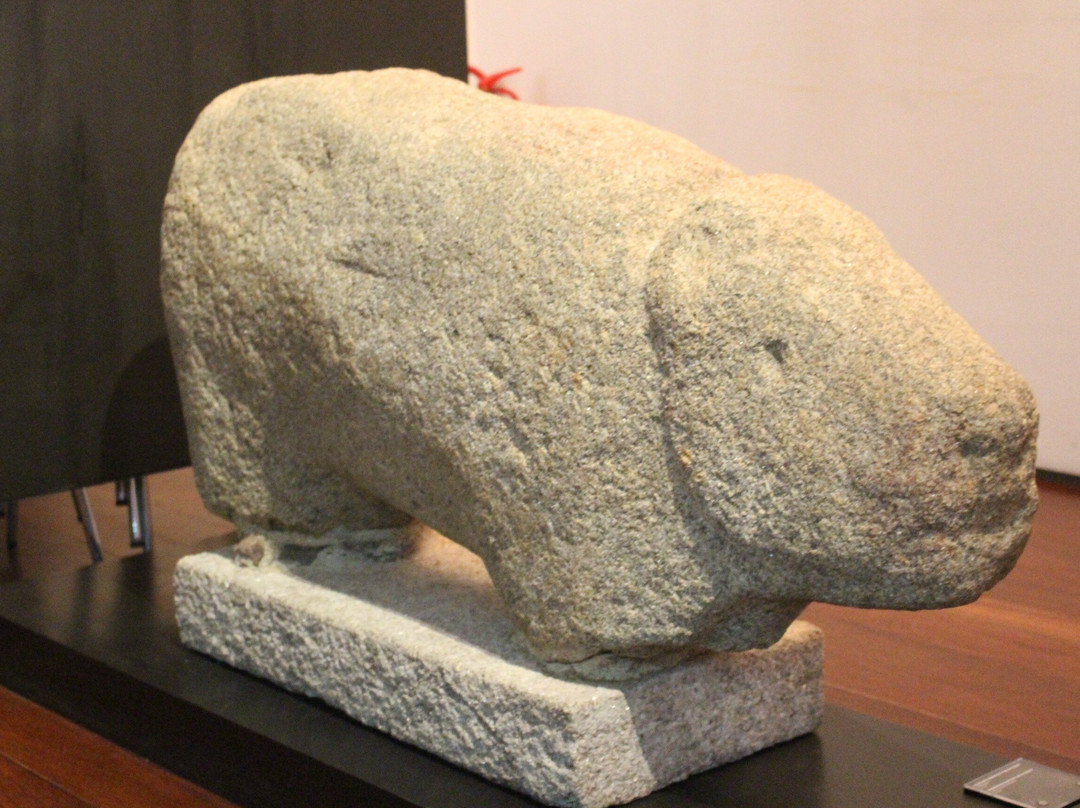 Museu do Abade de Bacal景点图片