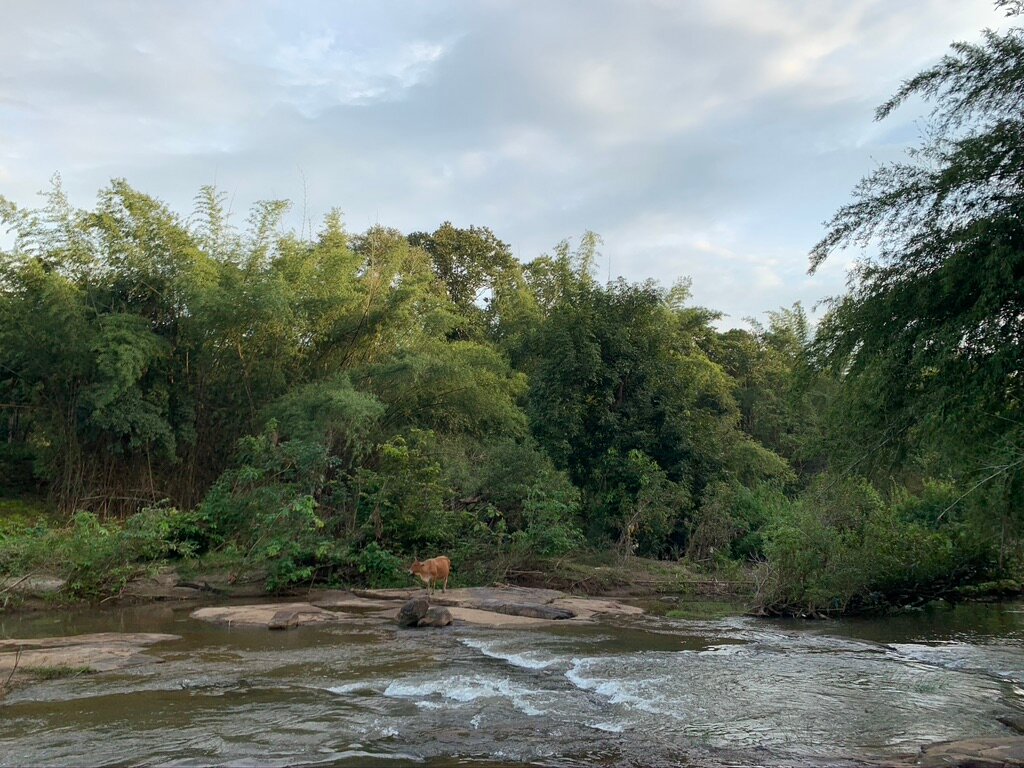 Quiet by the River, CGH Earth-浴室