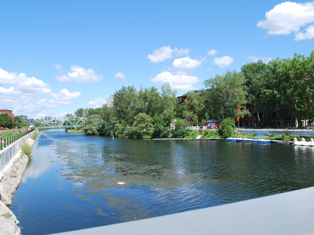 Ntours-蒙特利尔必去景点