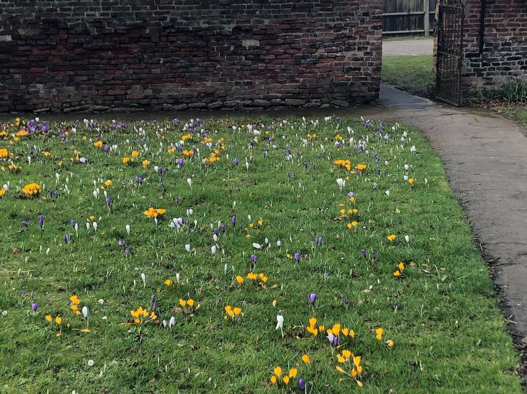 North Lincolnshire Museum景点图片