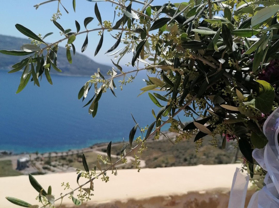 Akrolithi Boutique Hotel主图