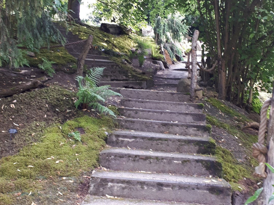 Tartu University Botanical Garden-塔尔图必去景点