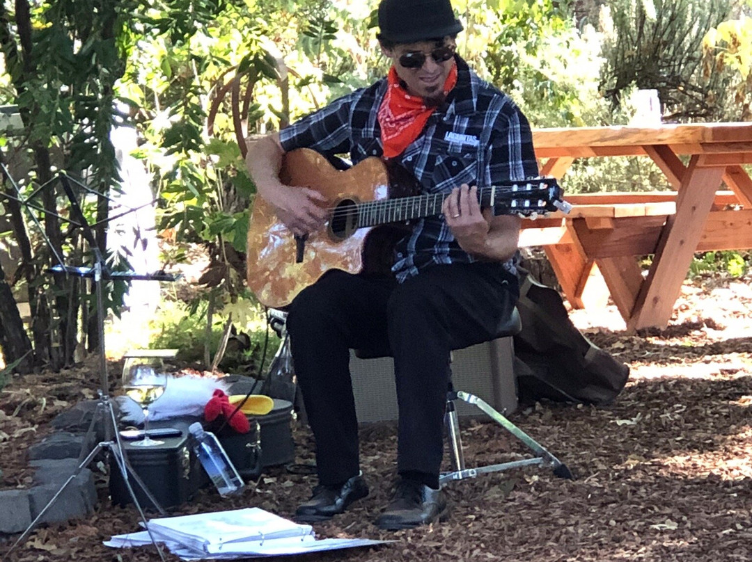 Russian River Vineyards-Forestville必去景点