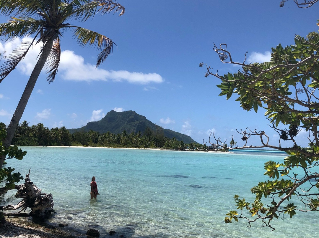 Pension Taputea主图