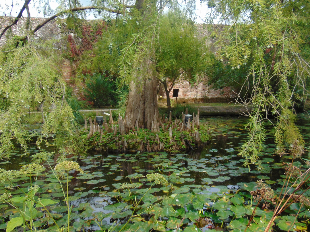 Orto Botanico di Lucca景点图片