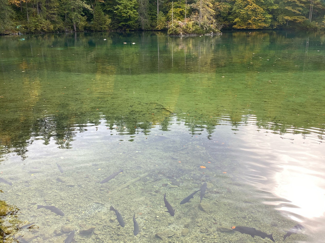 Badersee-Grainau必去景点