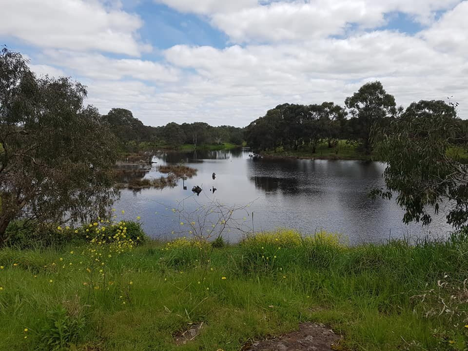 Morang Wetlands-South Morang必去景点