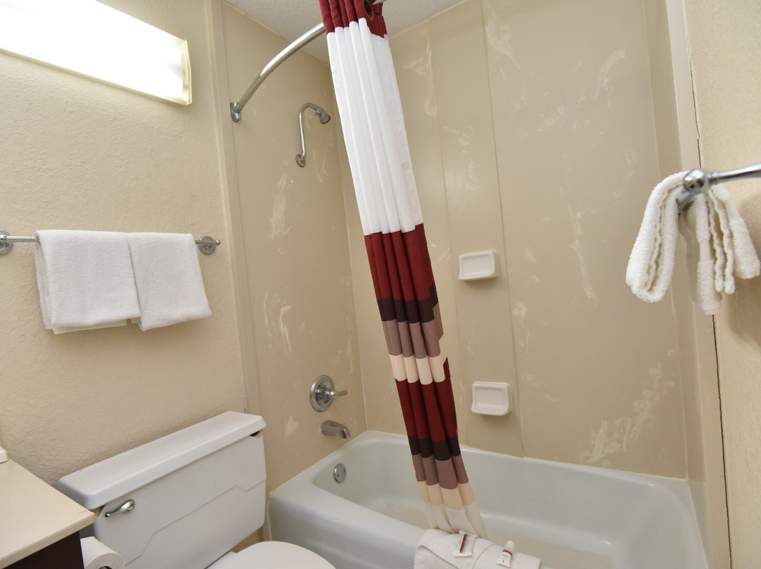 Red Roof Inn Winchester - Lexington East主图