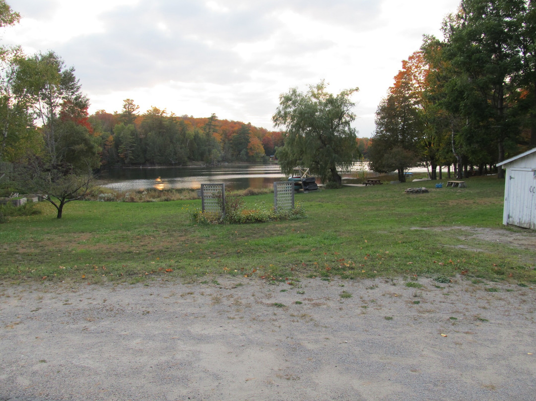 Teddy Bear Bed & Breakfast主图