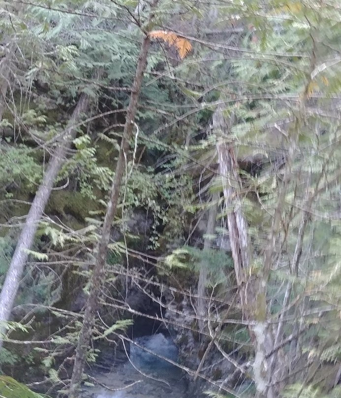 Margaret Falls-Tappen必去景点