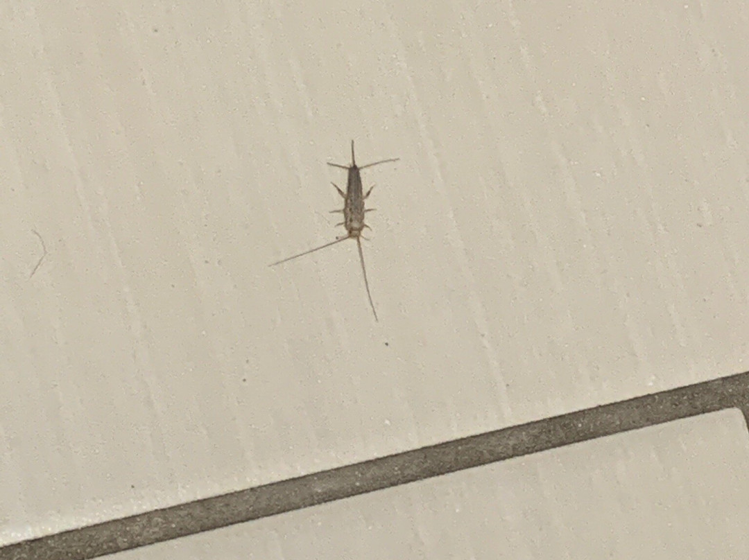 Fairfield by Marriott Inn & Suites Detroit Farmington Hills主图