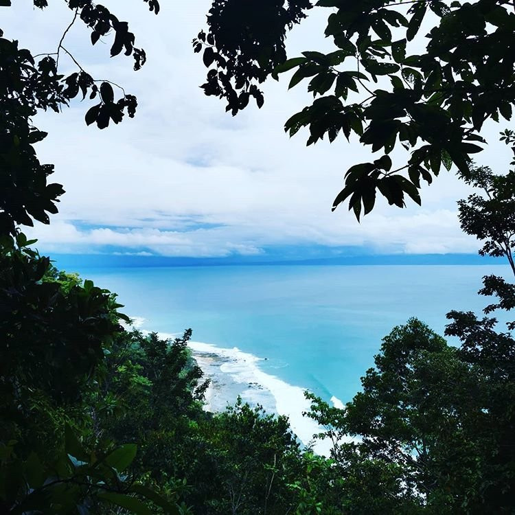 Bosque del Cabo Rainforest Lodge主图